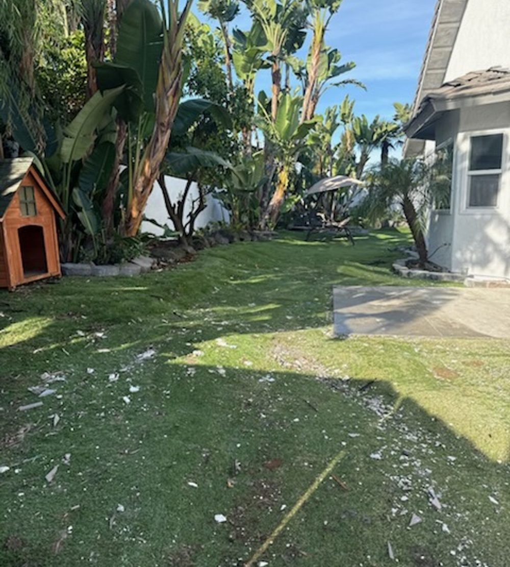 Backyard with leaves and yard waste before cleanup